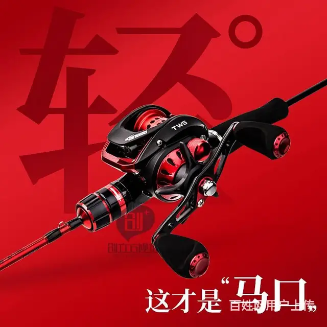 威海海带拍摄/海产品拍照/海参摄影/淘宝拼多多美工 - 图片 5