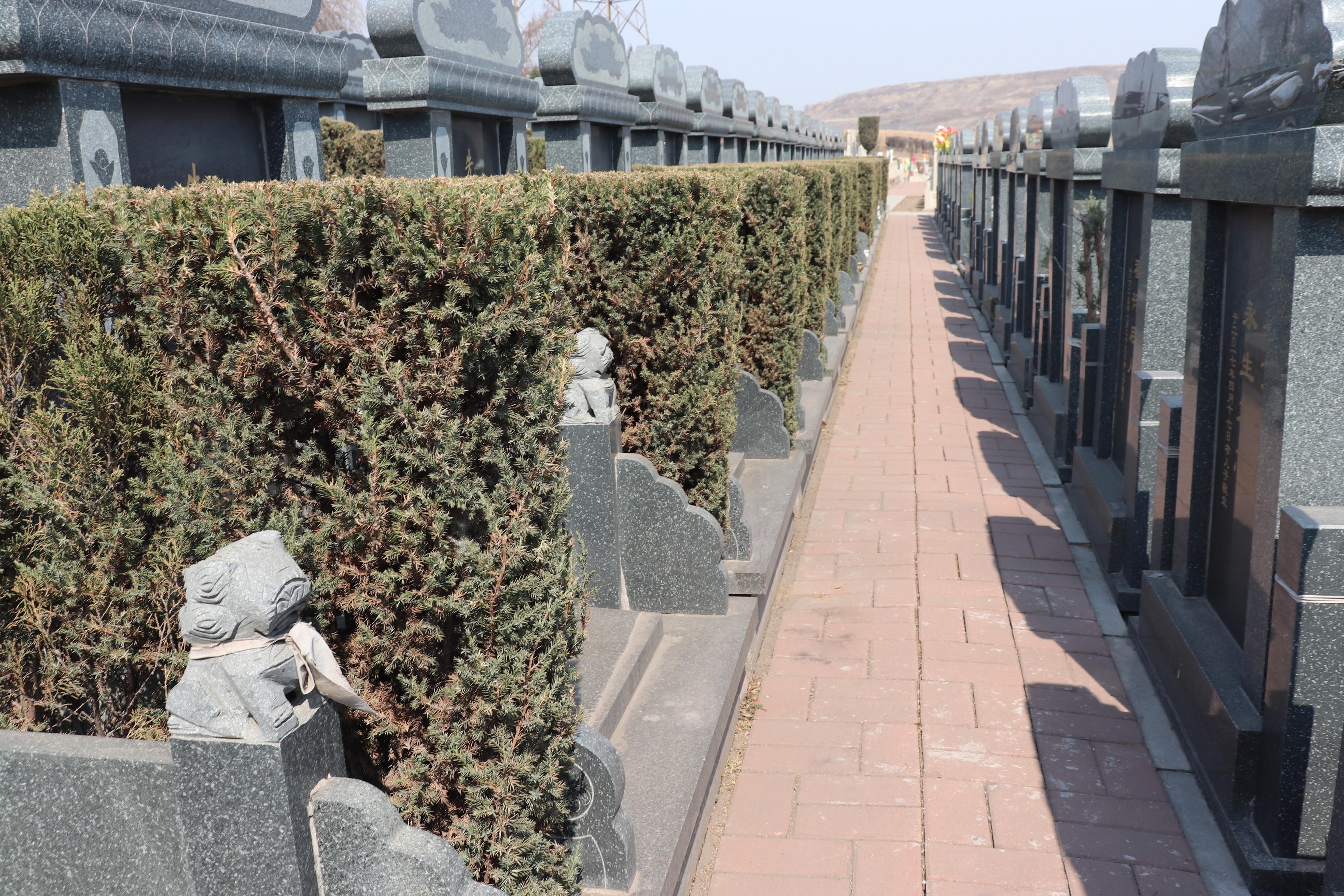 辽宁福山公墓 园区实景 福禄园 安福碑