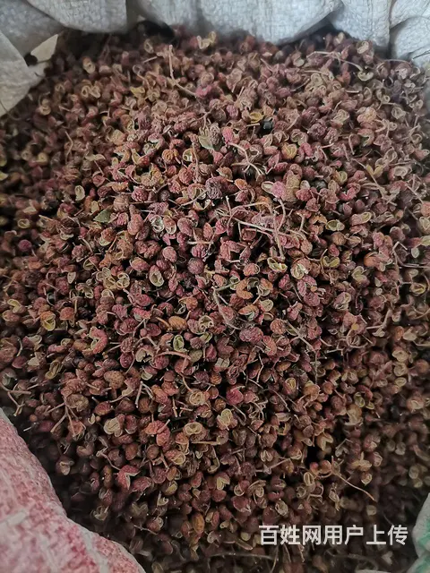 博山花椒 - 图片 2
