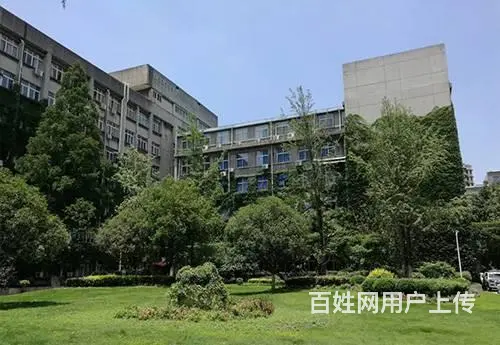 学催乳师需要什么条件？多久能学会？_成都催乳师培训 - 图片 2
