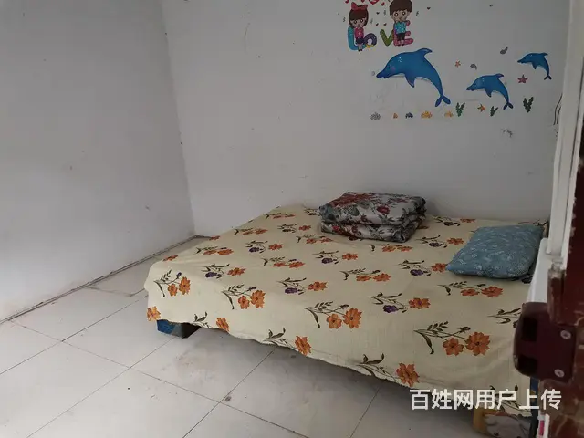 多规格房屋出租 - 图片 2