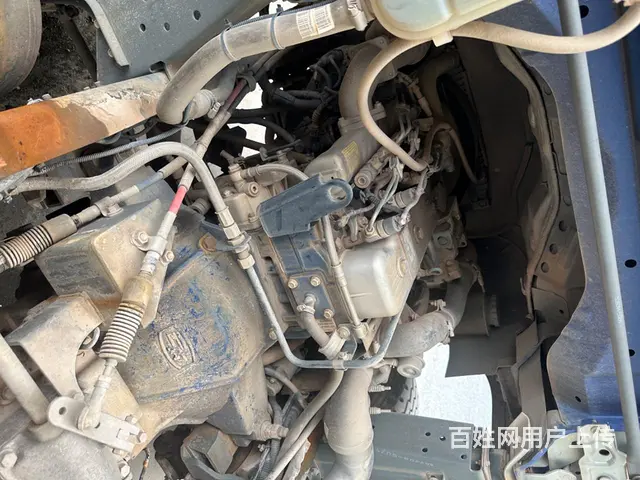 捡死鱼 - 图片 9