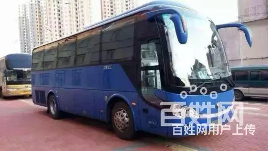 常州宠物托运直全国各市.县.多久到.多少钱/安全快捷 - 图片 8