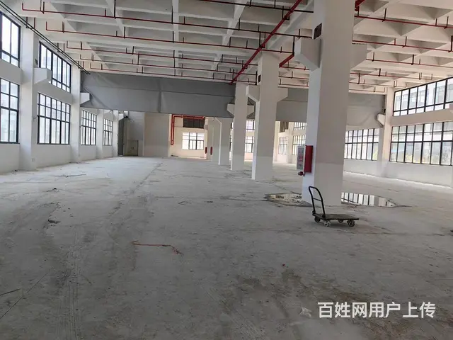 嘉善开发区单层1200平，层高9米，有办公，有机械环评 - 图片 5