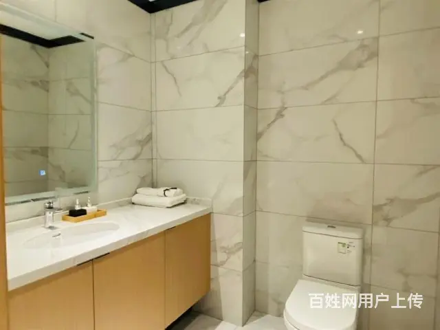 淹城对面新出复式公寓南北通透民用水电送大阳台准现房 - 图片 8