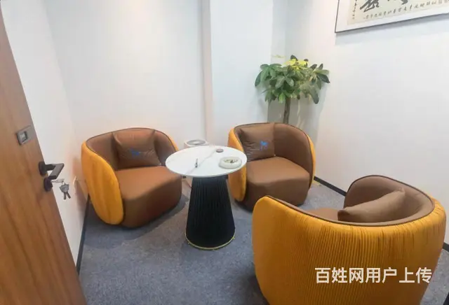 东站西子国际，精装拎包，商圈覆盖，房东直租，交通便利好地段！ - 图片 12