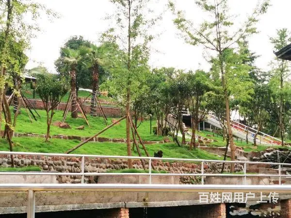 （达州铺源网）北外石龙溪1000㎡农家乐出租 - 图片 2