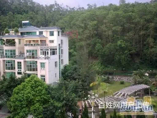 外地可购专业地产15年 亨泰山庄 荣泰山庄专卖 90平花园 - 图片 4