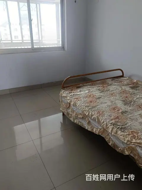  - 图片 7