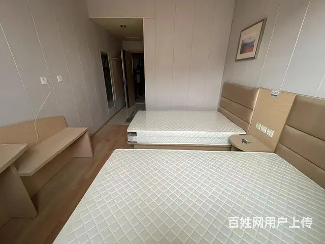 博山区中心路沿街旺铺整体承包 - 图片 7