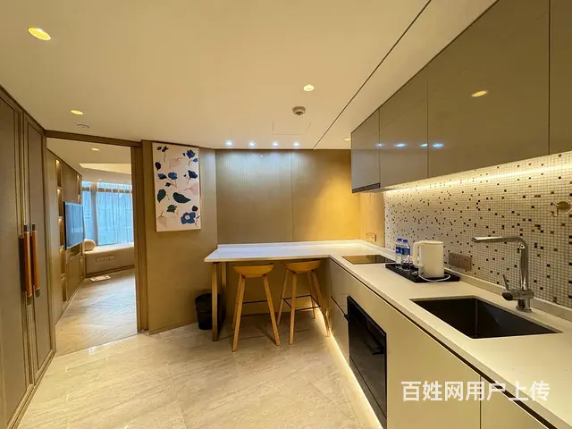 紧急出租欧美中心国际公寓1室81.00平 - 图片 8