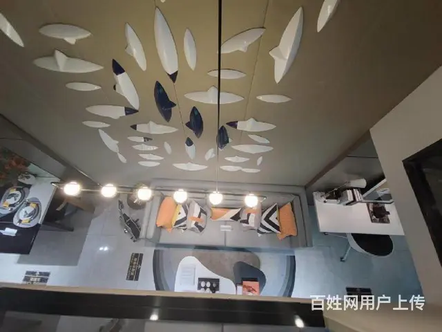 政府财税奖补明湖中对面 高铁站轻轨口复式挑高 央企开发 - 图片 6