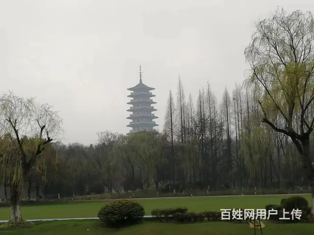 御翠园(天宁) 别墅出租 - 图片