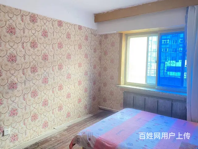 近中街，中国黄金旁，500元/月，4楼，女生合租，包WiFi - 图片 3