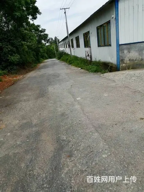 （老板本人）浏阳市沙市镇标准厂房仓库出租  5816 - 图片 10
