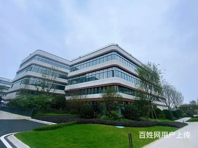 高新西区厂房出租、生产、研发、办公、分层独栋 - 图片 2