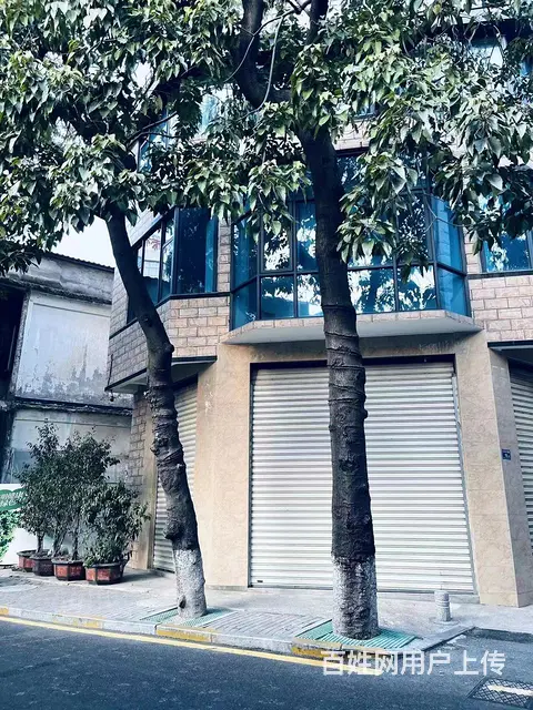 金尚 大面积店面招租没有费 停车方便 欢迎来电咨询 - 图片 9