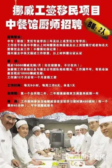出国工作签证，务工业办理公司，多个国家合作 - 图片 8