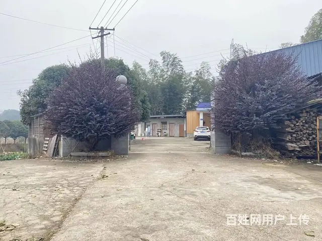 (房东直租)开福区沙坪街道300平厂房，仓库优价出租 - 图片 6