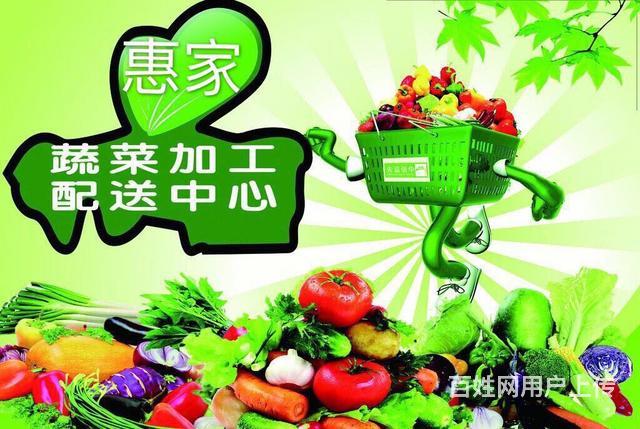 东莞蔬菜配送中心 东莞惠家专业蔬菜配送