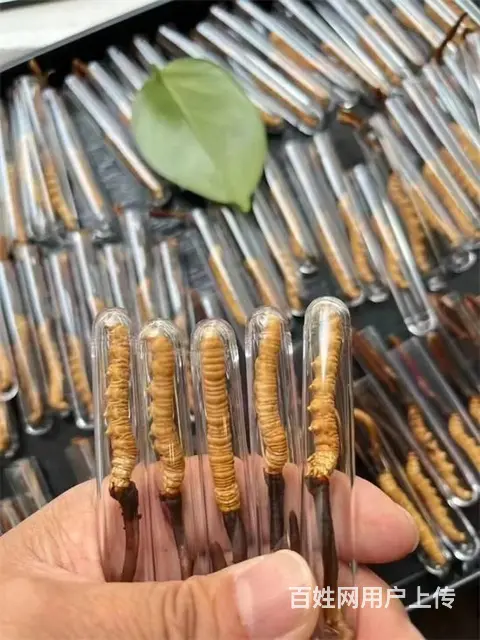开封回收洋酒红酒价格统统调整 - 图片 6