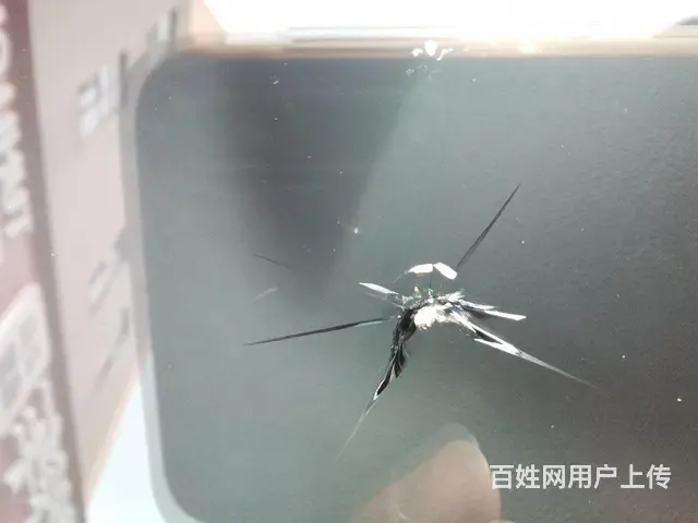都江堰挡风选择修复需要注意什么 专业的建议 - 图片 7