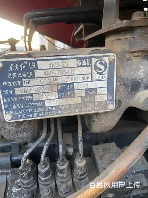 路阳红904 - 图片 6