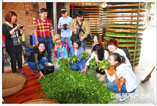 天晟茶艺培训学校有分校吗? - 图片 5