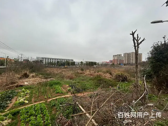 （老板本人）独门独院钢筋混凝土带行车办公宿舍一体厂房直租 - 图片 11