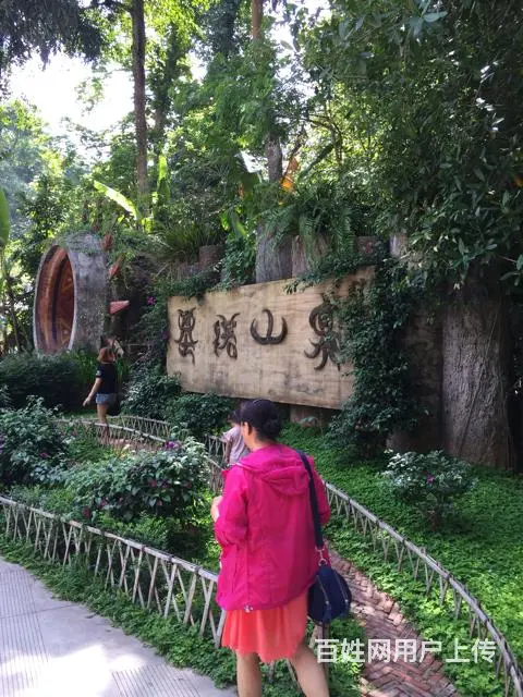 版纳逍遥自游行 - 图片 1