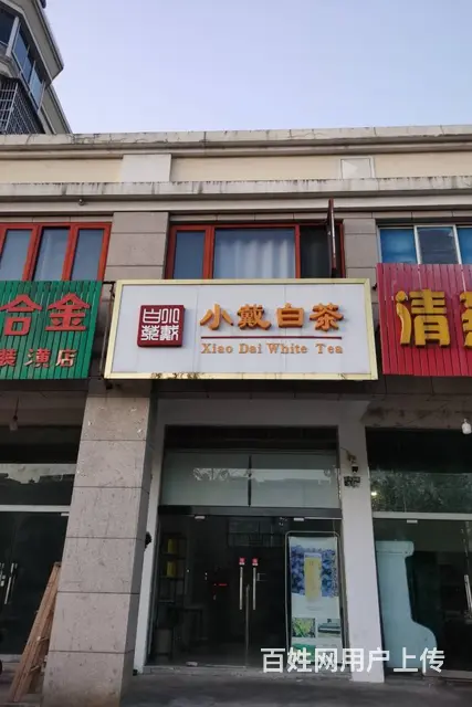 安吉白茶 明前头茶 原产地安吉直销 小戴白茶 - 图片 4