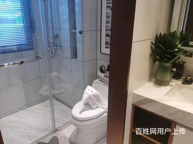 首付两万可潘安湖解忧湖汇景君悦府送装修找我有优惠 - 图片 7