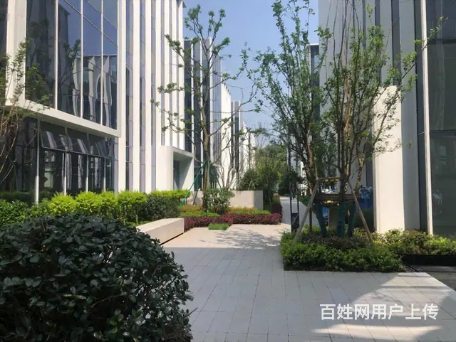 城北独栋带花园大露台滨江运翠轩3200方5000通燃气送车位 - 图片 2