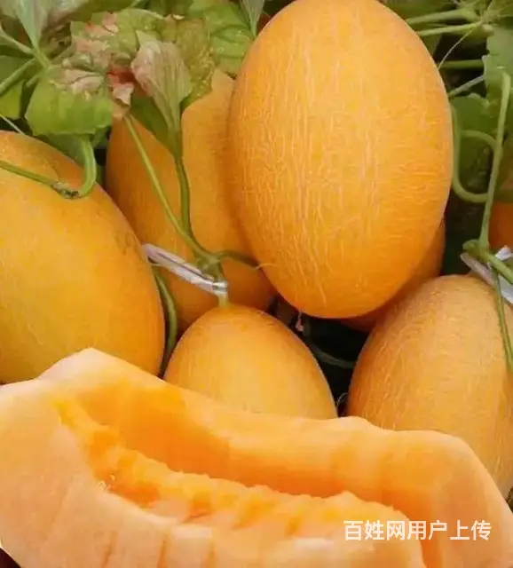 水果批发市场配送全成都酒店 食堂 单位新鲜水果上门 - 图片 4