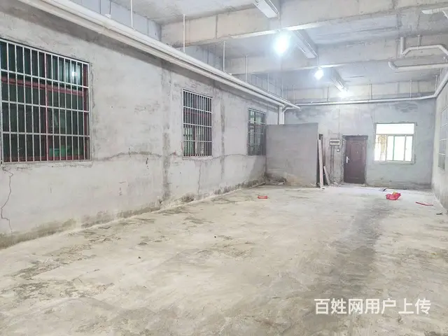 （51旺铺推荐）荔枝沟新中路180平店铺出租 - 图片 8