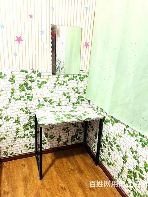 华茂雅居大悦城南洪街华茂小区公寓可押一付一 - 图片 9