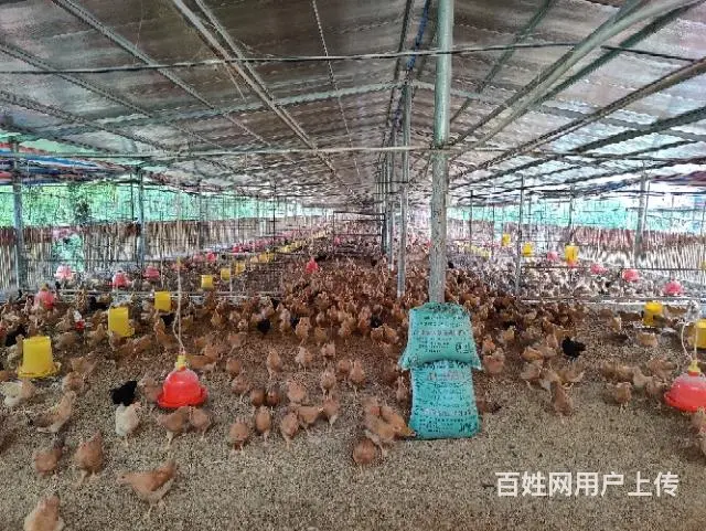 养殖场出租 - 图片 1