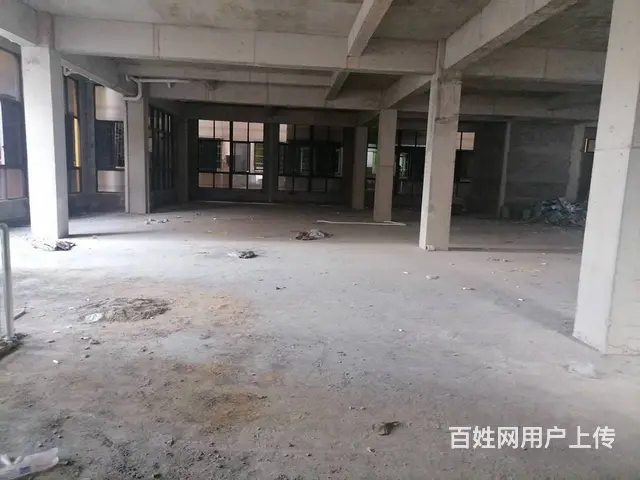 （51旺铺推荐）龙华区滨濂村一楼临街500平铺面出租 - 图片 6