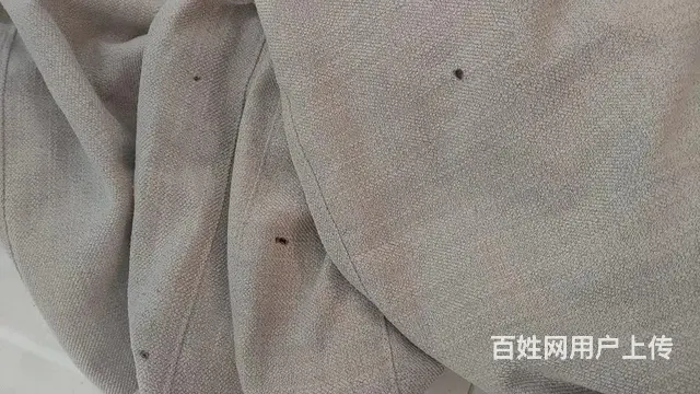 布艺沙发磨损破洞烟台烫洞精工织补无痕修复沙发修补 - 图片 4