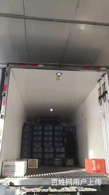 江淮格尔发 格尔发K5 冷藏车 国5 - 图片 3