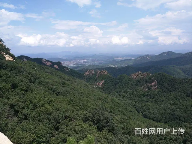 征婚 - 图片