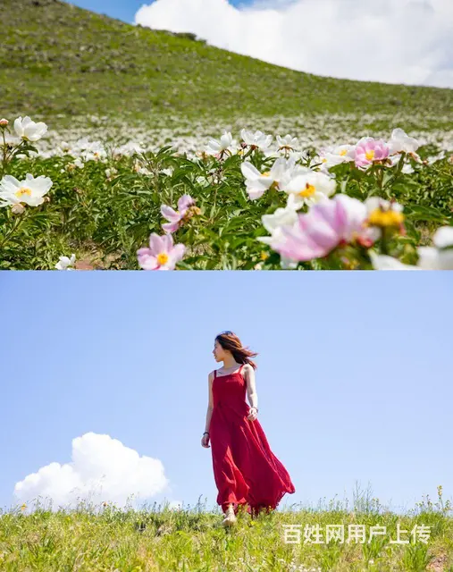 呼伦贝尔大草原旅游好向导阿杰 - 图片 1