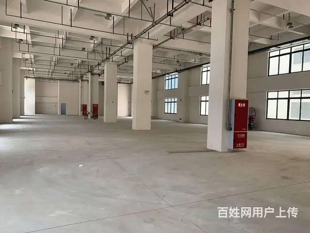 龙泉经开区南4路800平起租框架厂房 - 图片 2