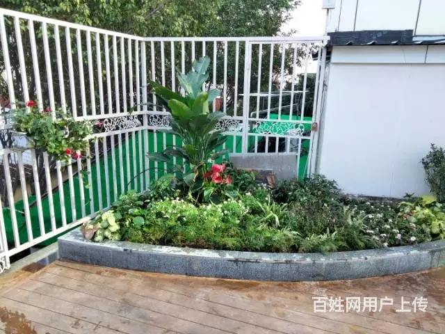 家庭庭院花园设计施工,养护 - 图片 4