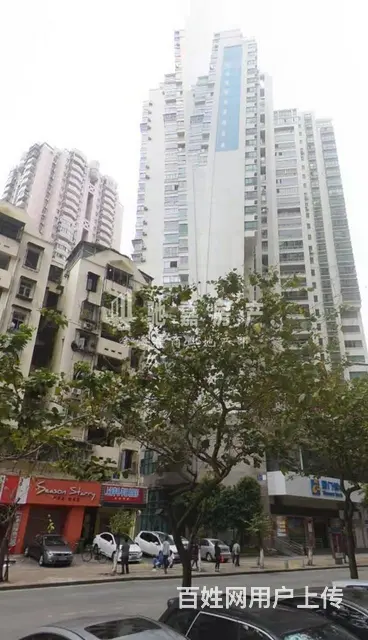 华侨海景城旺铺急转 适合餐饮，茶叶烟酒，美容等 - 图片 8