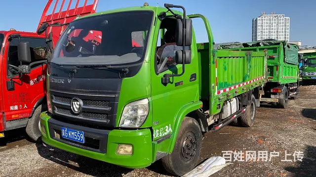 大量蓝牌自卸车 - 图片 6
