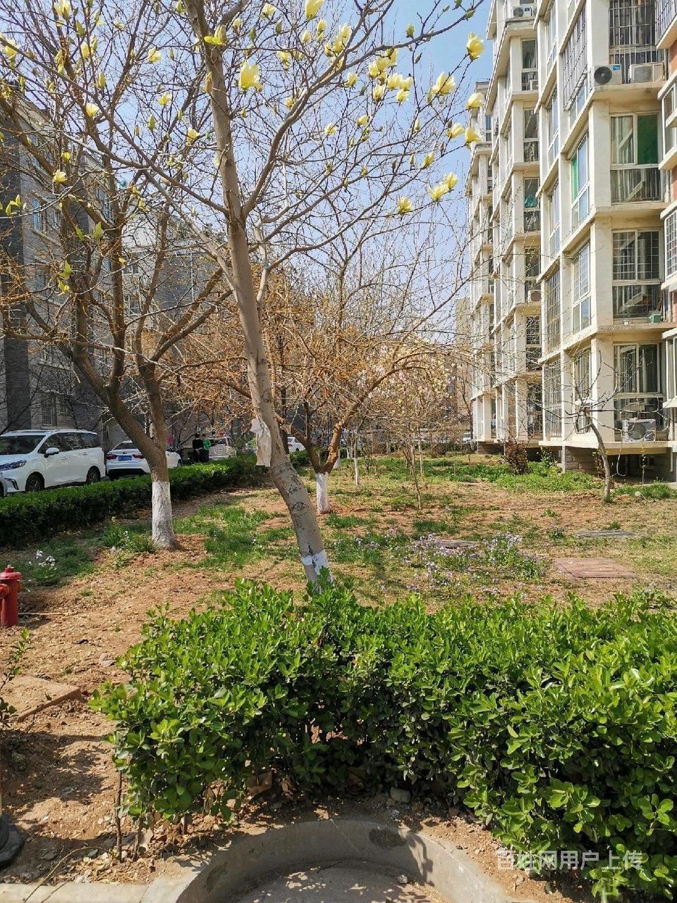 【图】- 东城华府2室1厅1卫 多层3楼 - 淄博张店二手房出售 - 淄博