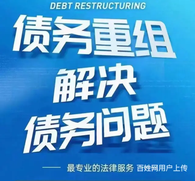 淮南*网贷协商分期债务重组 - 图片 3