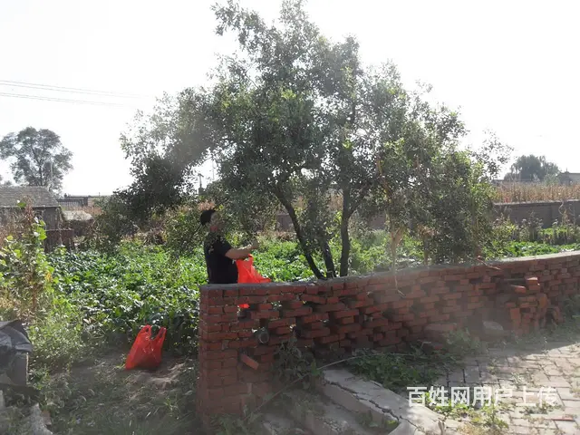 铧子镇卢芳村，4万 民房出卖，有房照。 - 图片 5