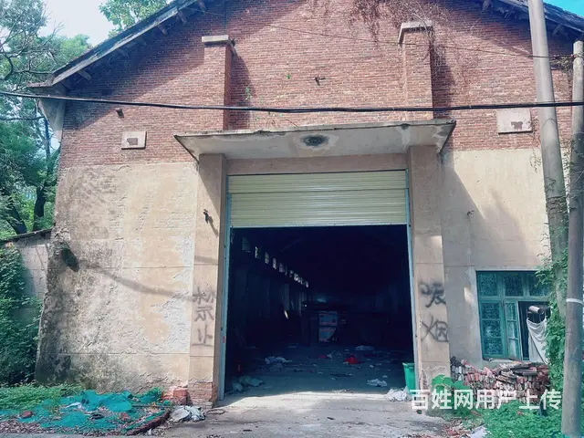 （老板本人）芙蓉区马坡岭远大路边标准厂房仓库出租6972 - 图片 4
